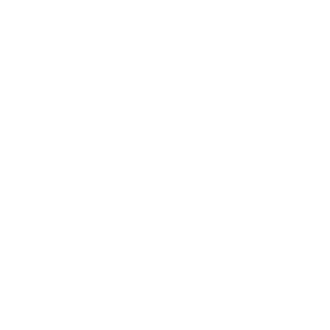 illustration of a globe
